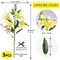 Lily Artificial Flowers Bulk 30” Long Stems 12 Silk Flower Heads Bouquet, Wedding Decoration Office DIY Indoor Home Decor Mothers Day Gift, 3pcs